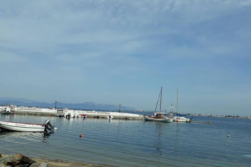 Amazing Sea View-neos Pyrgos -evoia Greece * Néos Pírgos