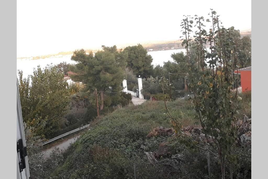 Amazing Sea View-neos Pyrgos -evoia Greece * Néos Pírgos